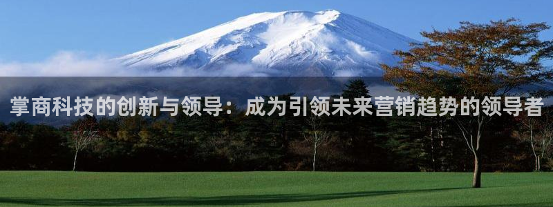 金年会金字照片诚信至上