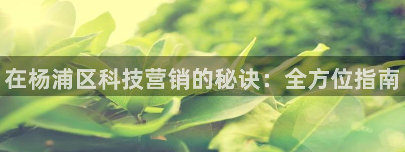 金年会官方新入口