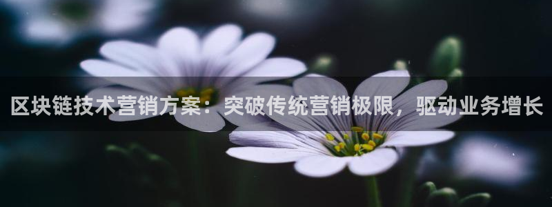 金年会平台官网
