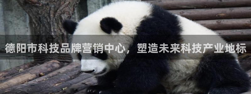 金年会体育中国官方网站
