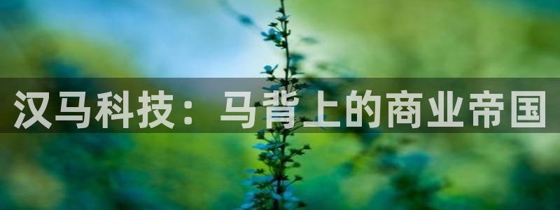 金年会官方下载app