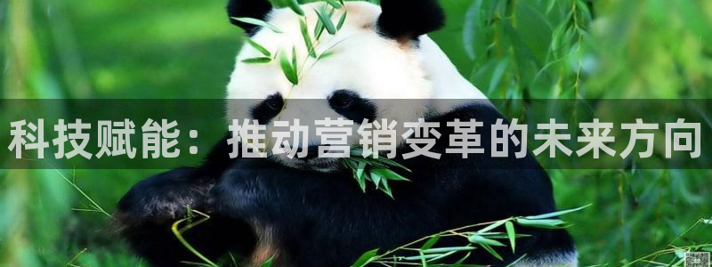 金年会体育app最新官网入口网址是什么