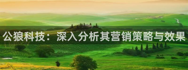 金年会手机版官方网站