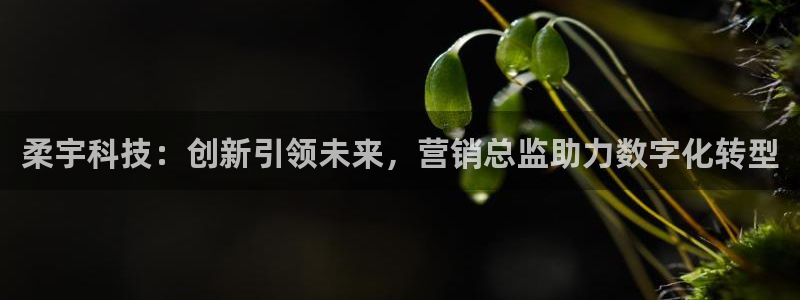 金年会网站怎么样