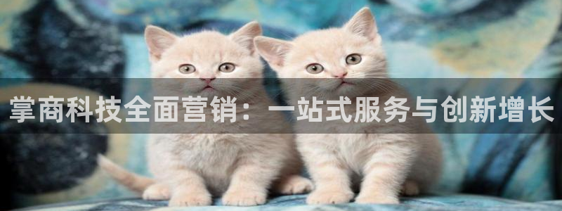 金年会提现不了