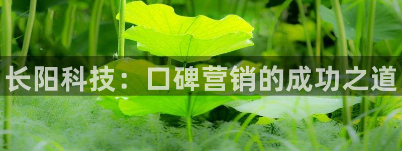 金年会官方app下载安卓