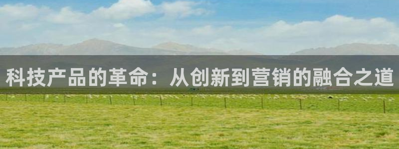 金年会平台怎么样