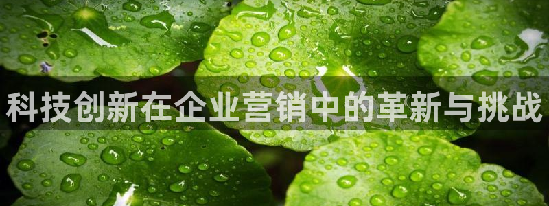 金年会网址导航下载安装