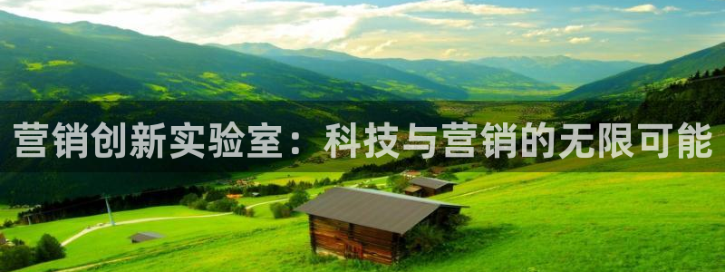 金年会网址导航：营销