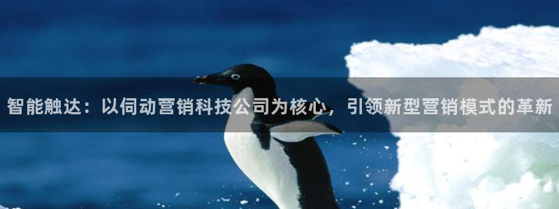 金年会网站不给提现怎么办?