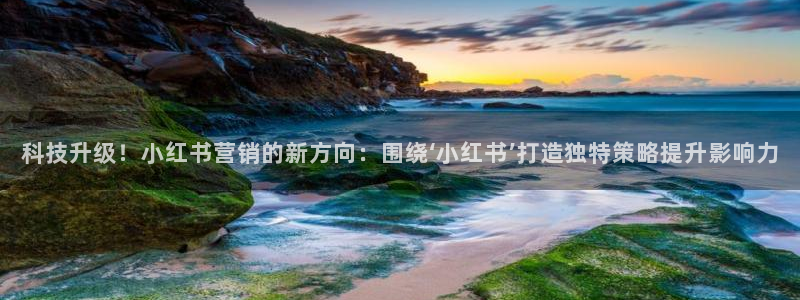 金年会金字招牌是什么意思