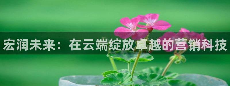 金年会 金字招牌诚信至上在线