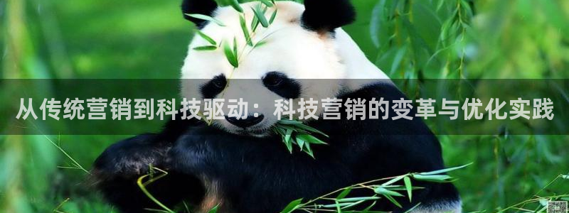 金年会官方在线入口网站