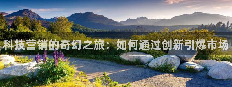 金年会官方入口app