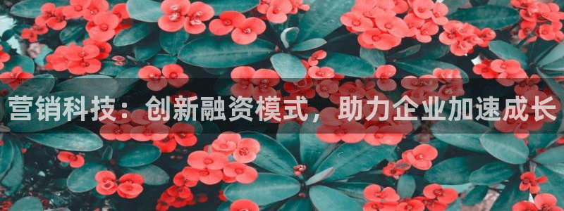 金年会电子游戏app官方