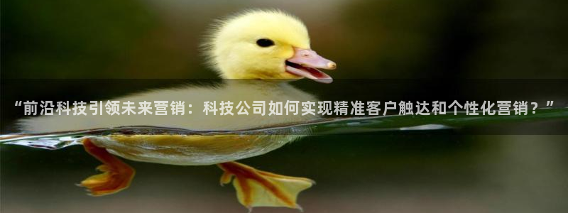金年会金字招牌入口