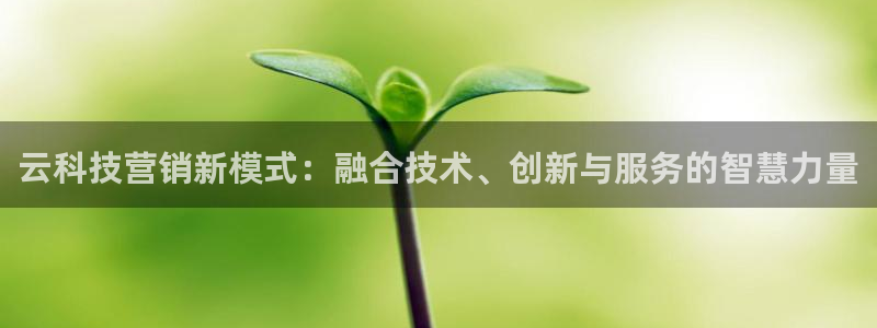 金年会体育合法吗