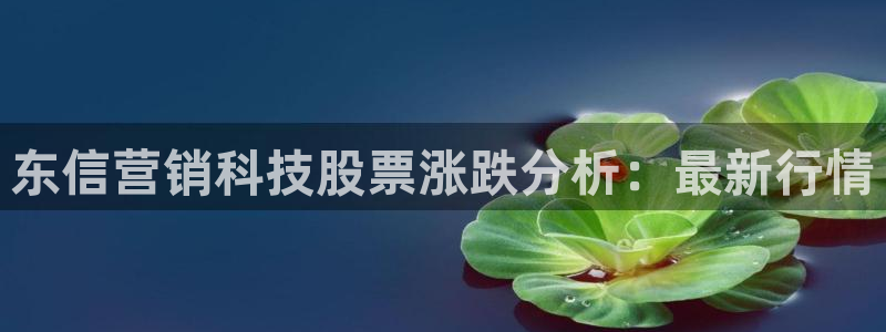 金年会手机版官方网站