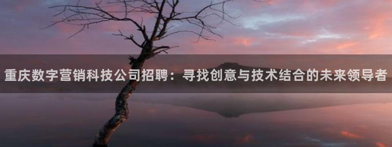 金年会网页版登陆