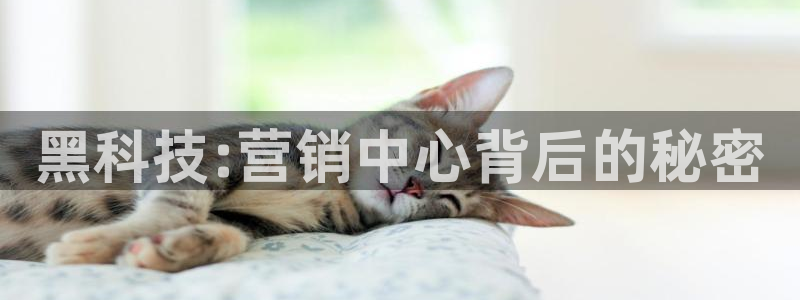 金年会app官网登录