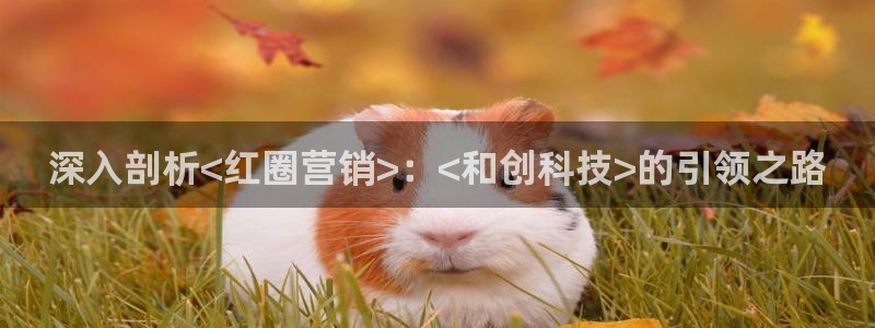 金年会官方网站入口登录