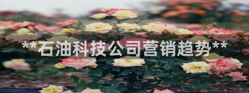 金年会官方登录入口网址是什么