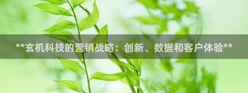 金年会体育官网登录入口下载