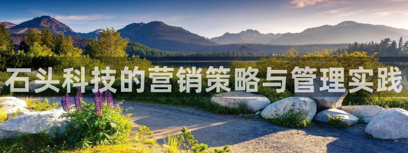 金年会体育平台注册