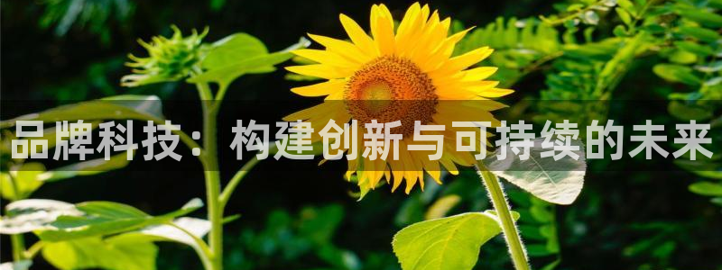 金年会官方登录入口