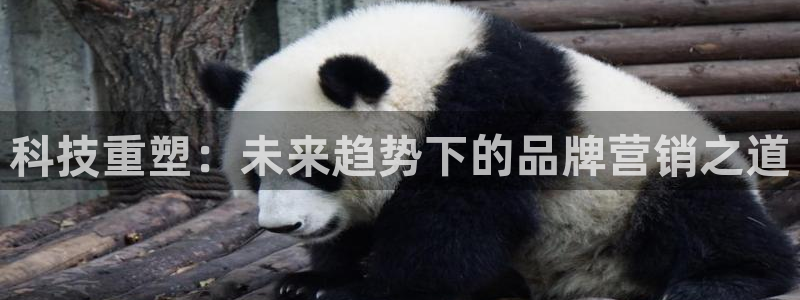 金年会app官网登录