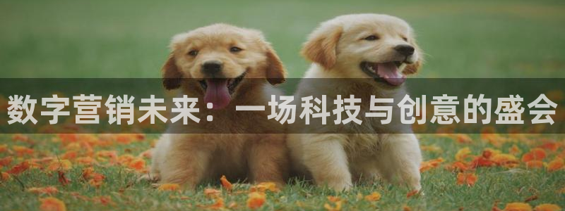 金年会手机网页版官网