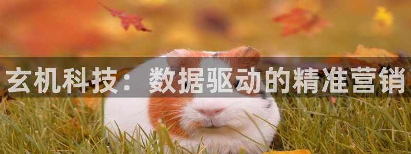 金年会金字招牌至上