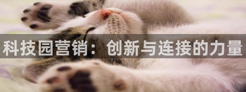 金年会体育在线登陆入口