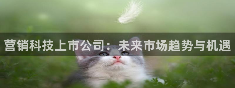 金年会官方进入2023