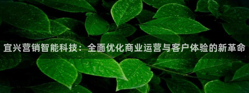 金年会app下载官网登录