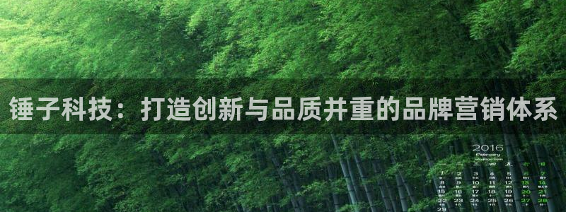 金年会官方在线入口网站2023