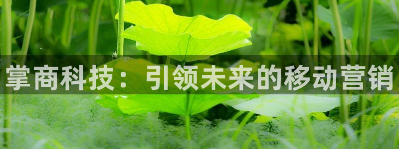 金年会登录网址