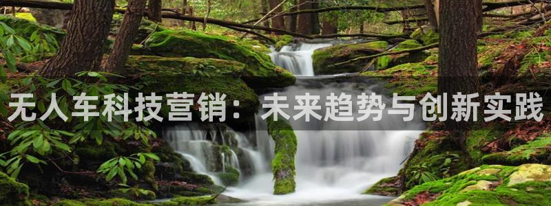 金年会官方在线入口网址是多少号