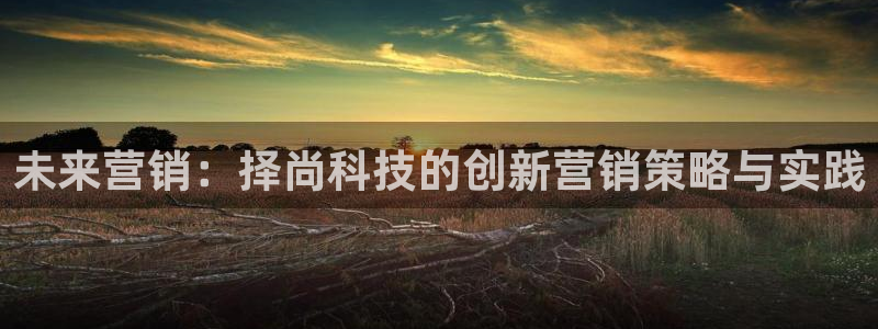 金年会 金字招牌诚信至上下载