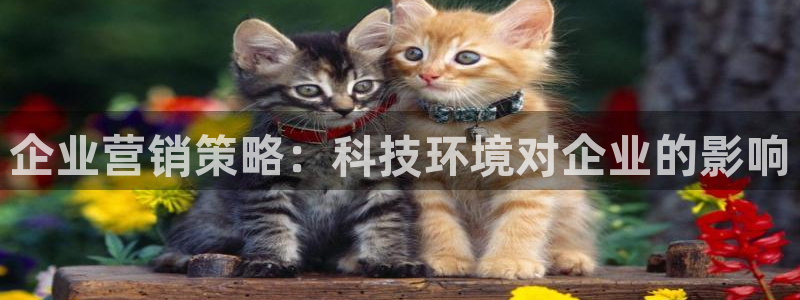 金年会电子app官方下载