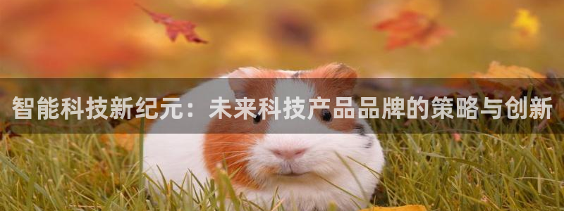 金年会赌博软件