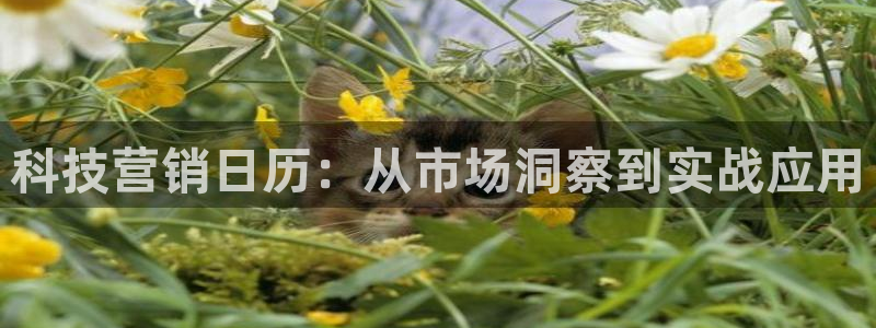 金年会app官方网站是什么