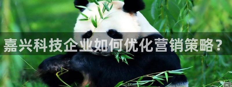 金年会体育出款被要求安全认证怎么办