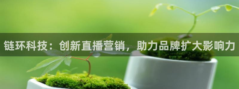 金年会pg麻将胡了几张牌