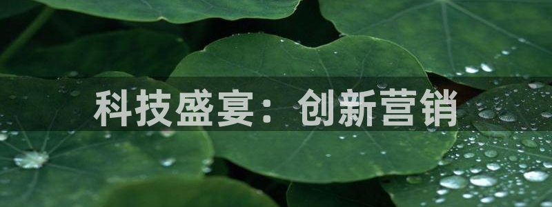 金年会官方在线入口网址