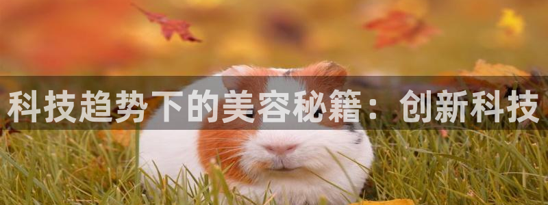 金年会金字招牌诚信至上