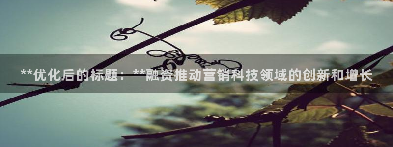 金年会体育手机app下载官网最新版