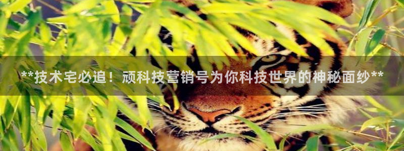 金年会手机版下载